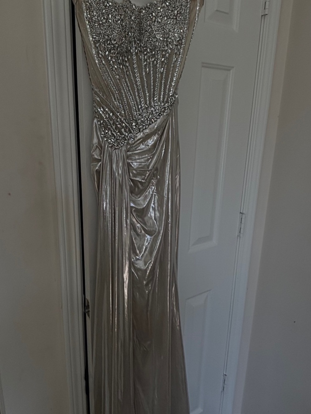 Silver Embellished Evening Gown